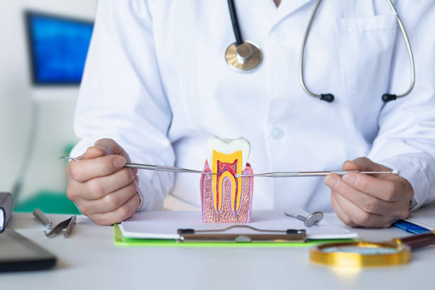 Best 24-Hour Emergency Dental Care in Marion, TX